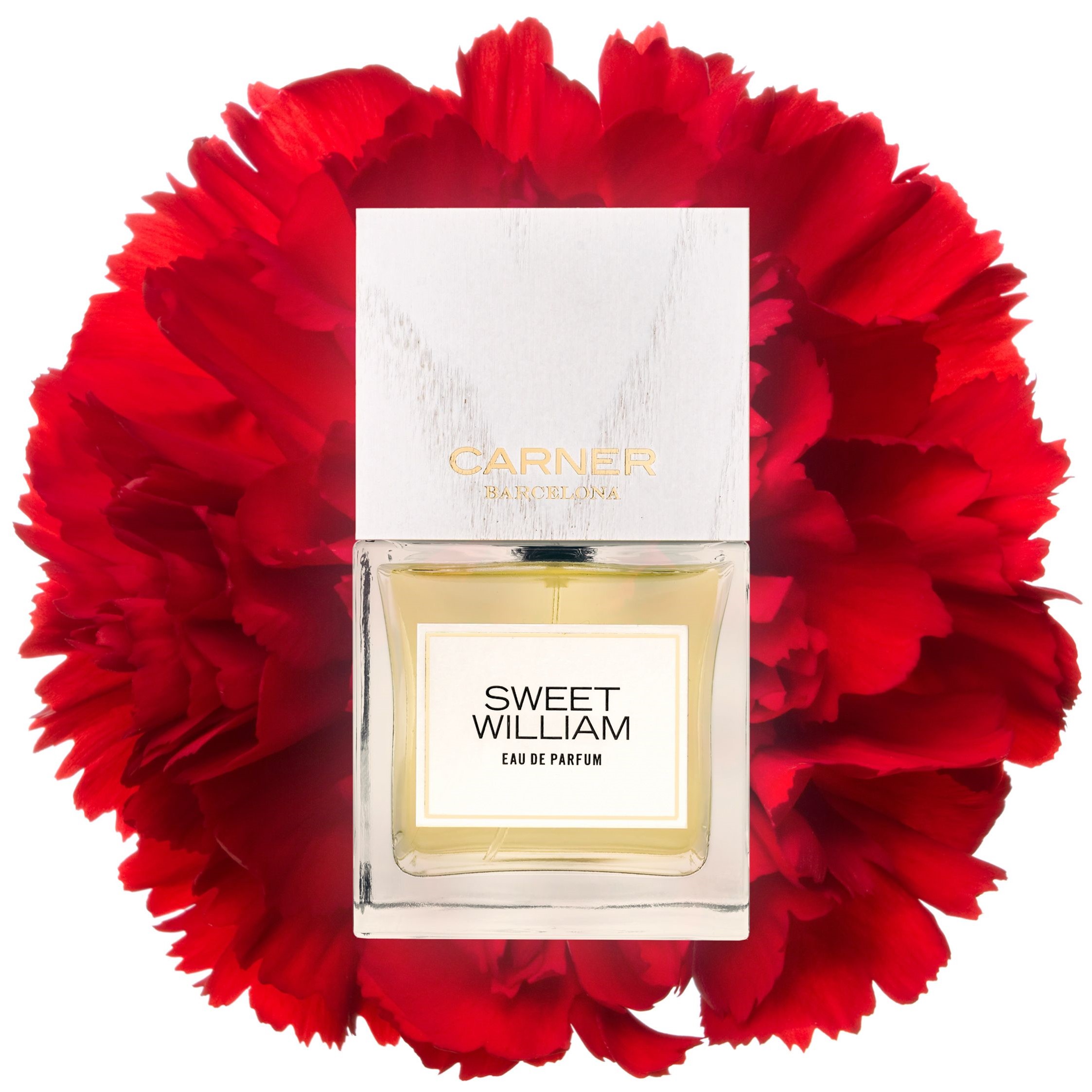 Carner barcelona sweet william cheap