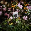 Giambattista Valli - Rose Poivrée Candle 270g - Image 2