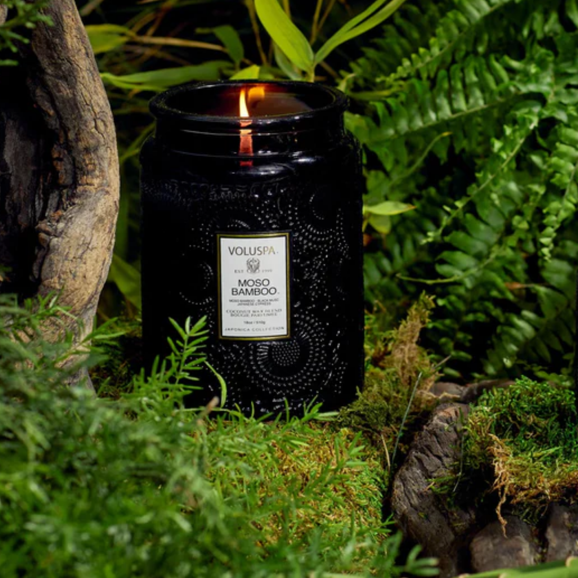 Moso Bamboo Large Jar Candle 100g - Image 3