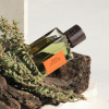 Wood Infusion EDP 100ml - Image 4