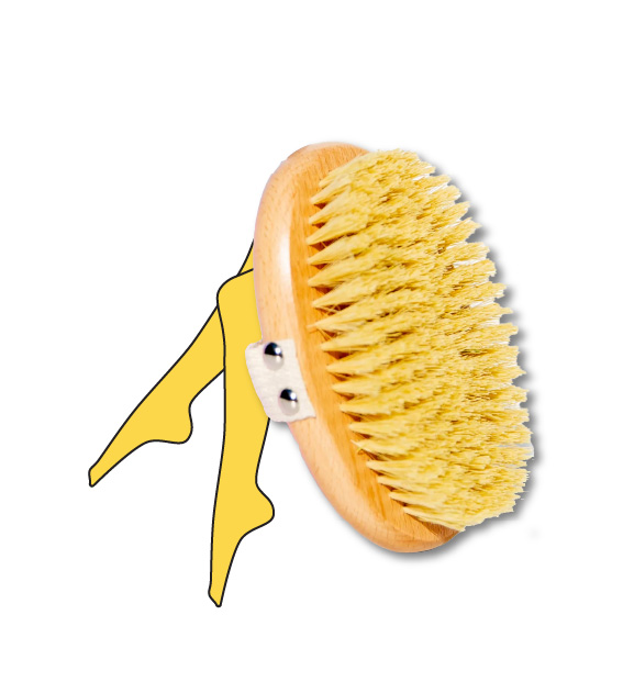 dry body brush by salt by hendrix with illustration of legs