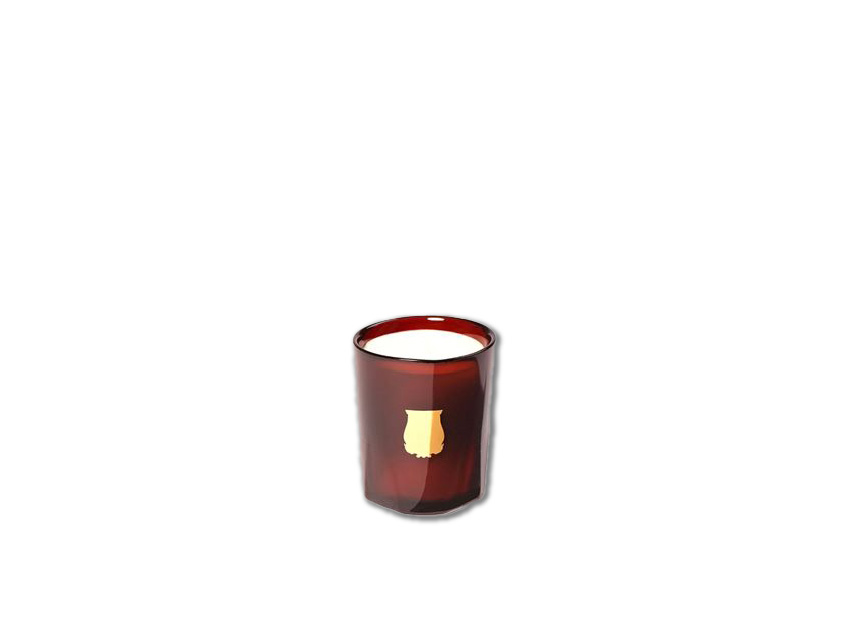 petit cire candle trudon