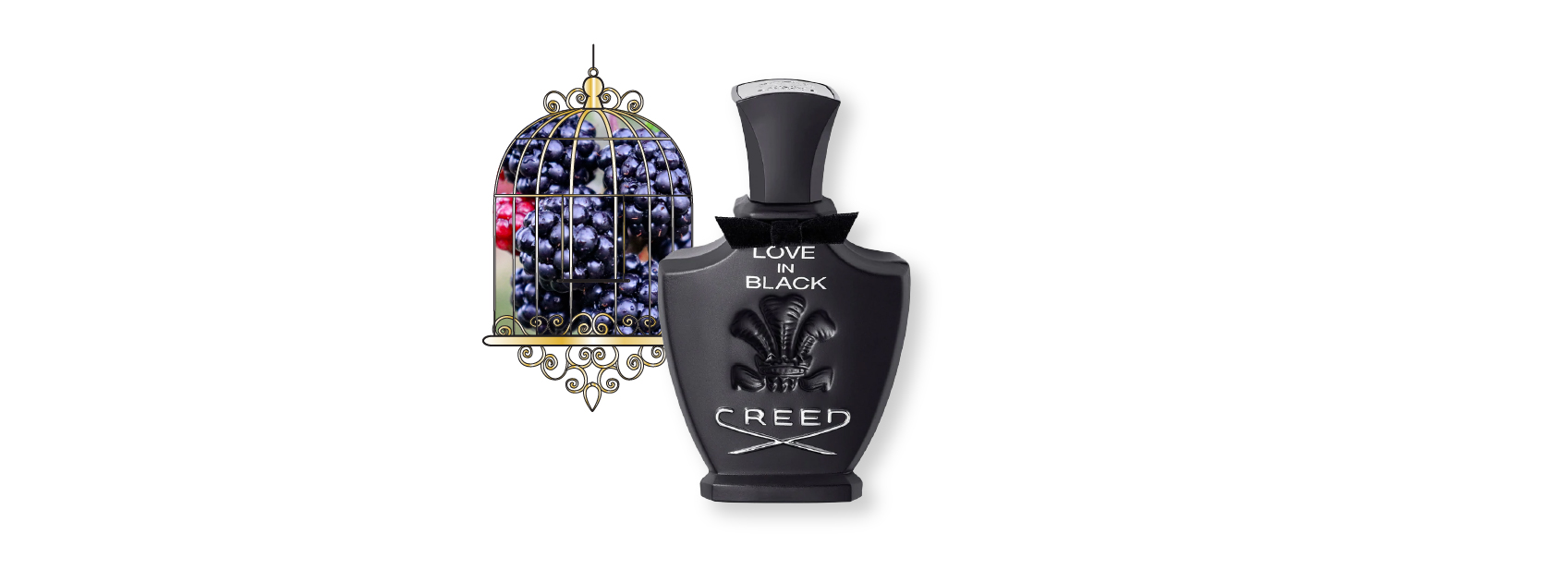 bottle of love in black by creed with a photo of blackcurrants behind a golden cage