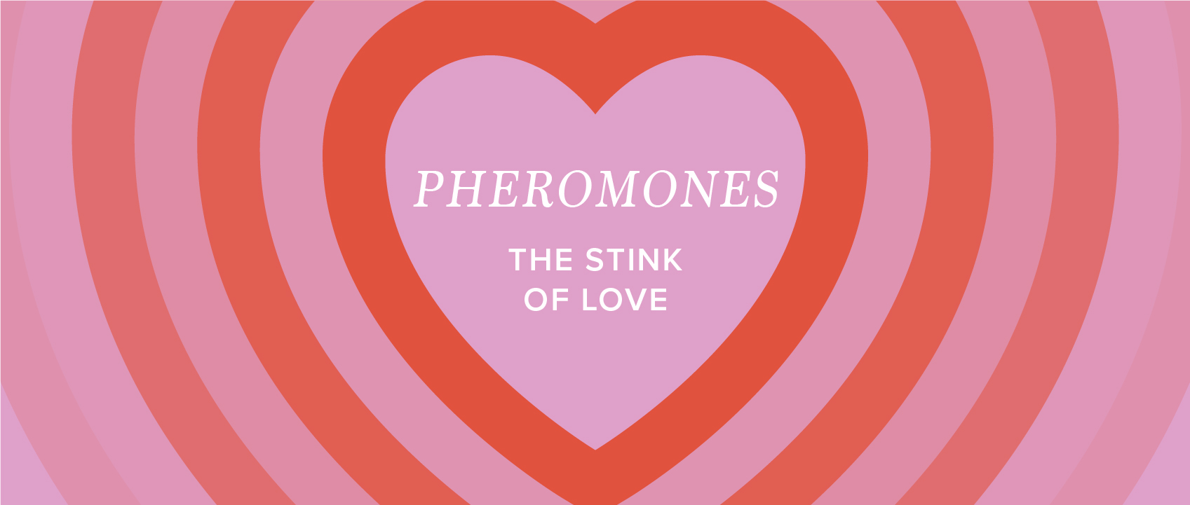 title pheromones, the stink of love in pink and red hearts