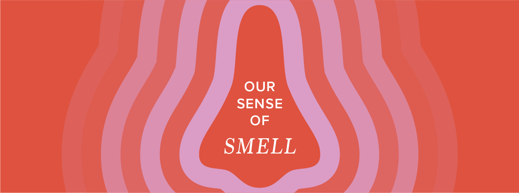 title our sense of smell in red and pink noses