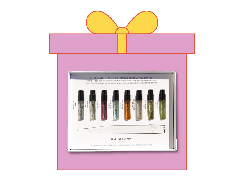 discovery sample collection by goldfield and banks in a gift box