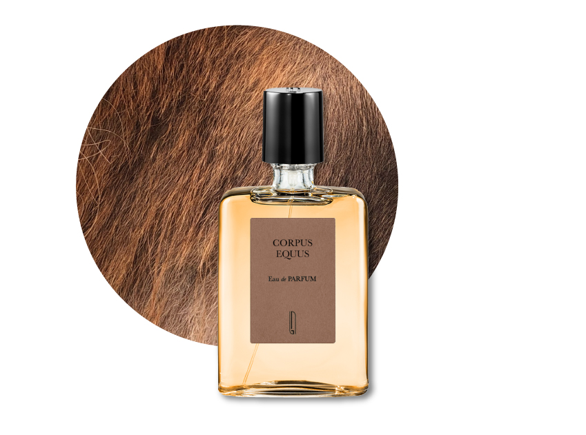 a bottle of corpus equus perfume by naomi goodsir with a photo of horsehair