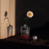Ode to Dullness EDP 50ml - Image 3