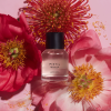 Pistil Whip EDP 50ml - Lore Perfumery