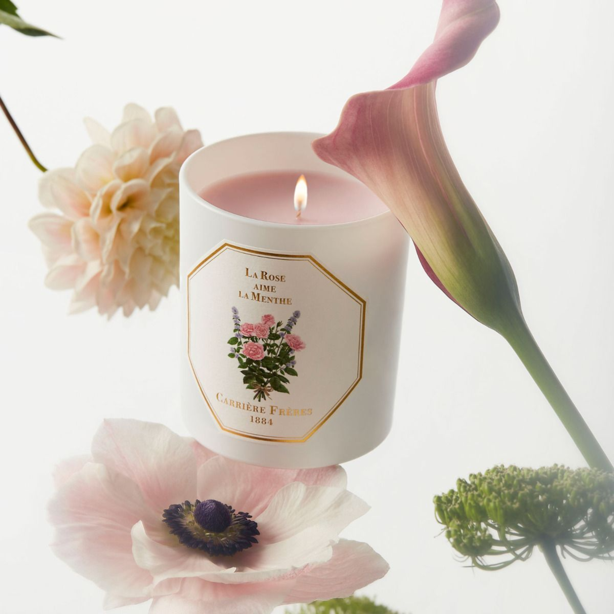La Rose aime La Menthe Candle 185g Lore Perfumery