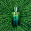 Ex Vetiver EDP 100ml - Image 3