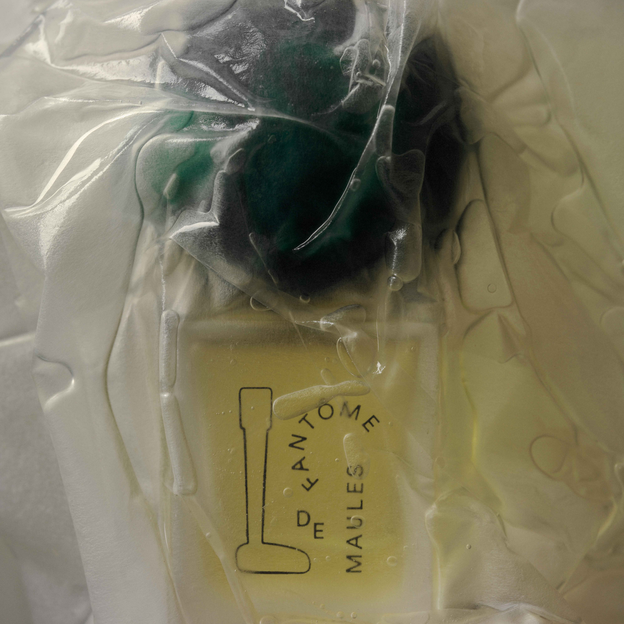 Fantôme de Maules EDP 30ml - Image 2