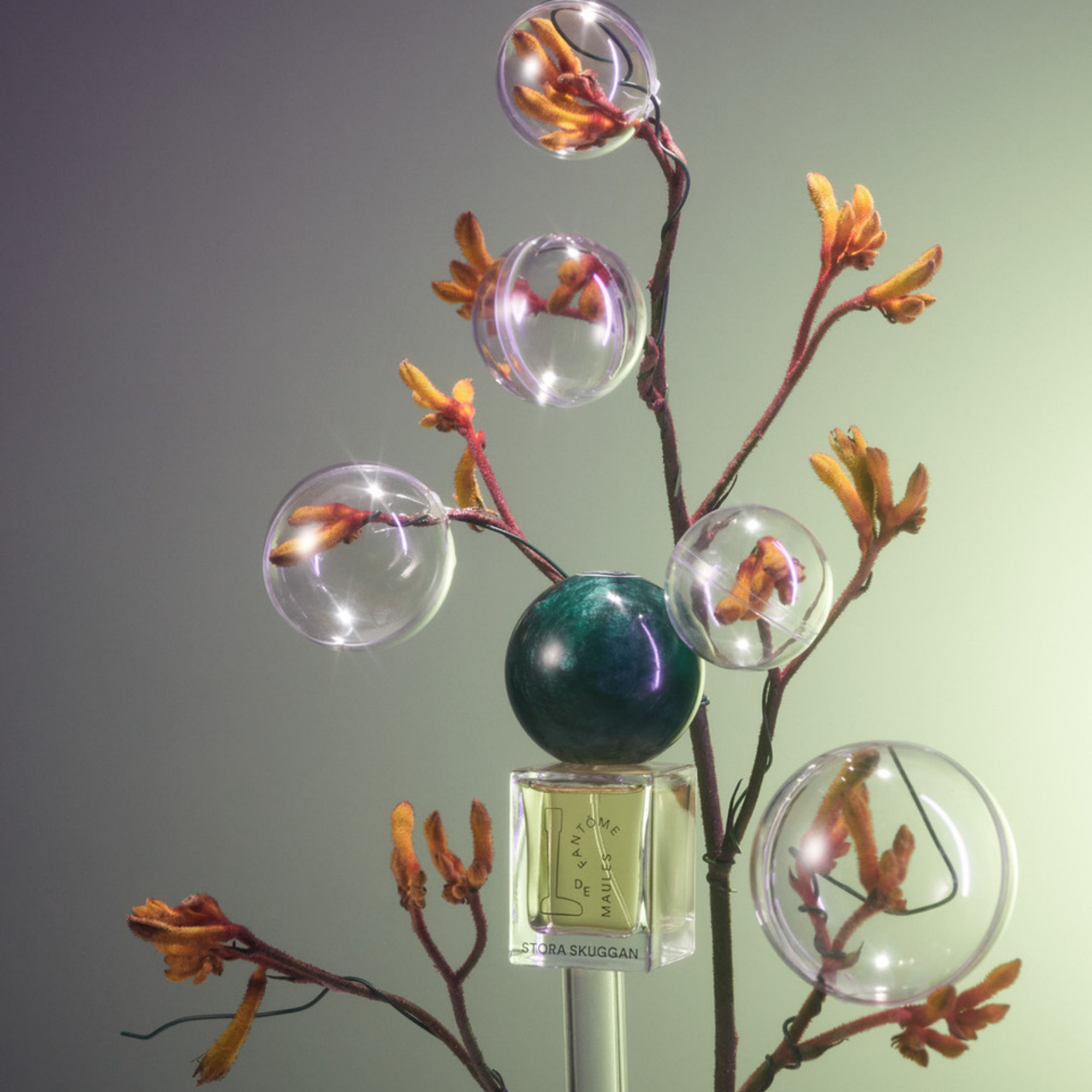 Fantôme de Maules EDP 30ml - Image 3