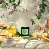 Italian Kush Candle 240g - Image 3