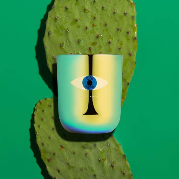 Cactus Abduction Candle 283g - Image 3