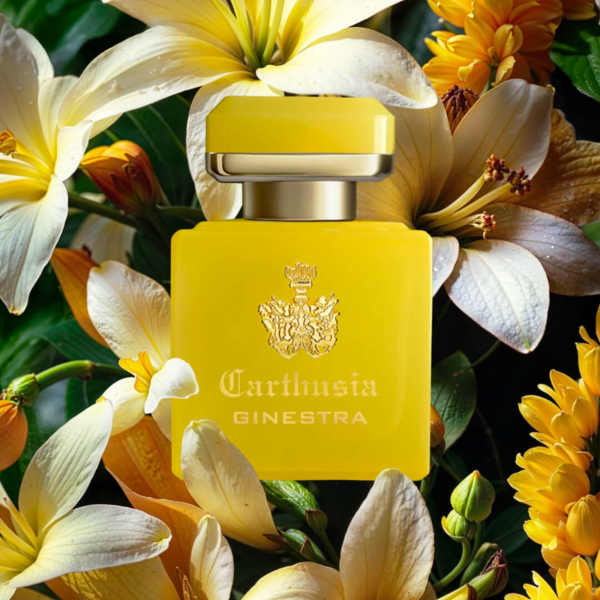 Intenso di Ginestra EDP 50ml - Image 3