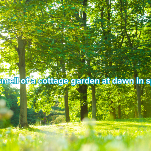 spring fragrances