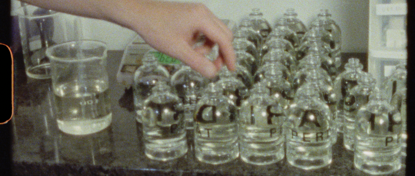 Perdrisât fragrance
