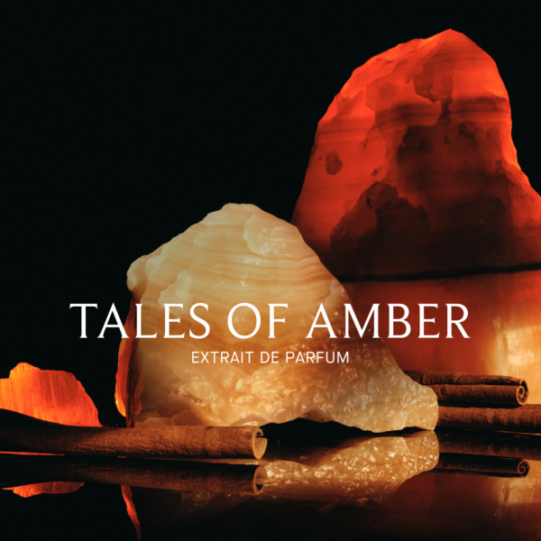 Tales of Amber Extrait 100ml - Image 4