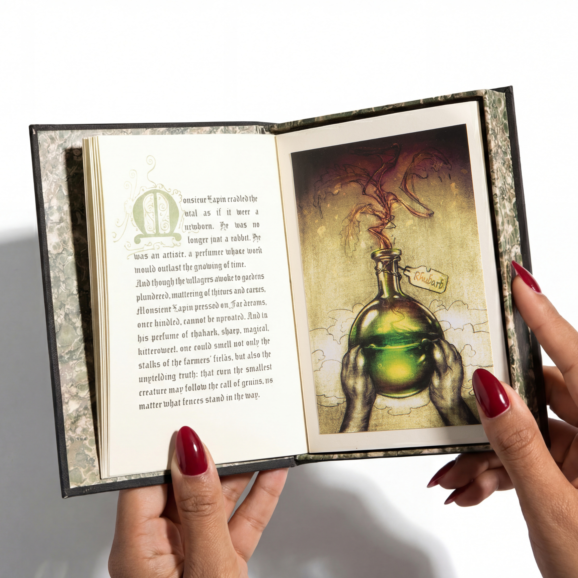 Rhubarb Thief Discovery Set - Image 4