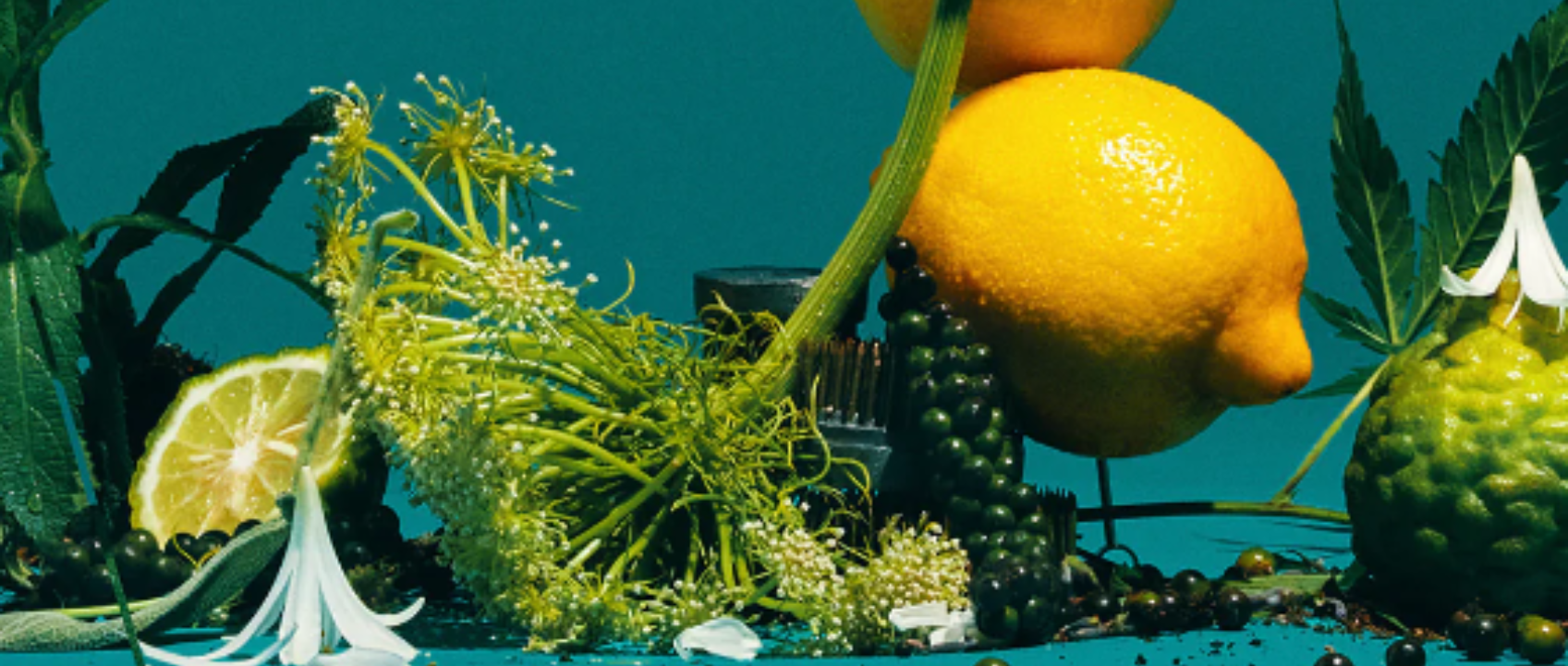 heretic parfum fruity fragrances