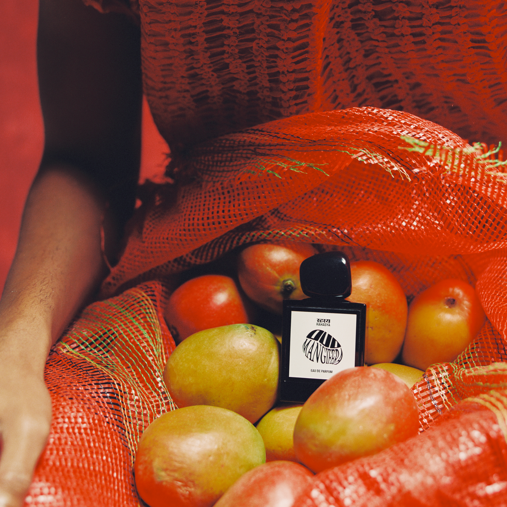 Oud Mangifera EDP 50ml - Image 3