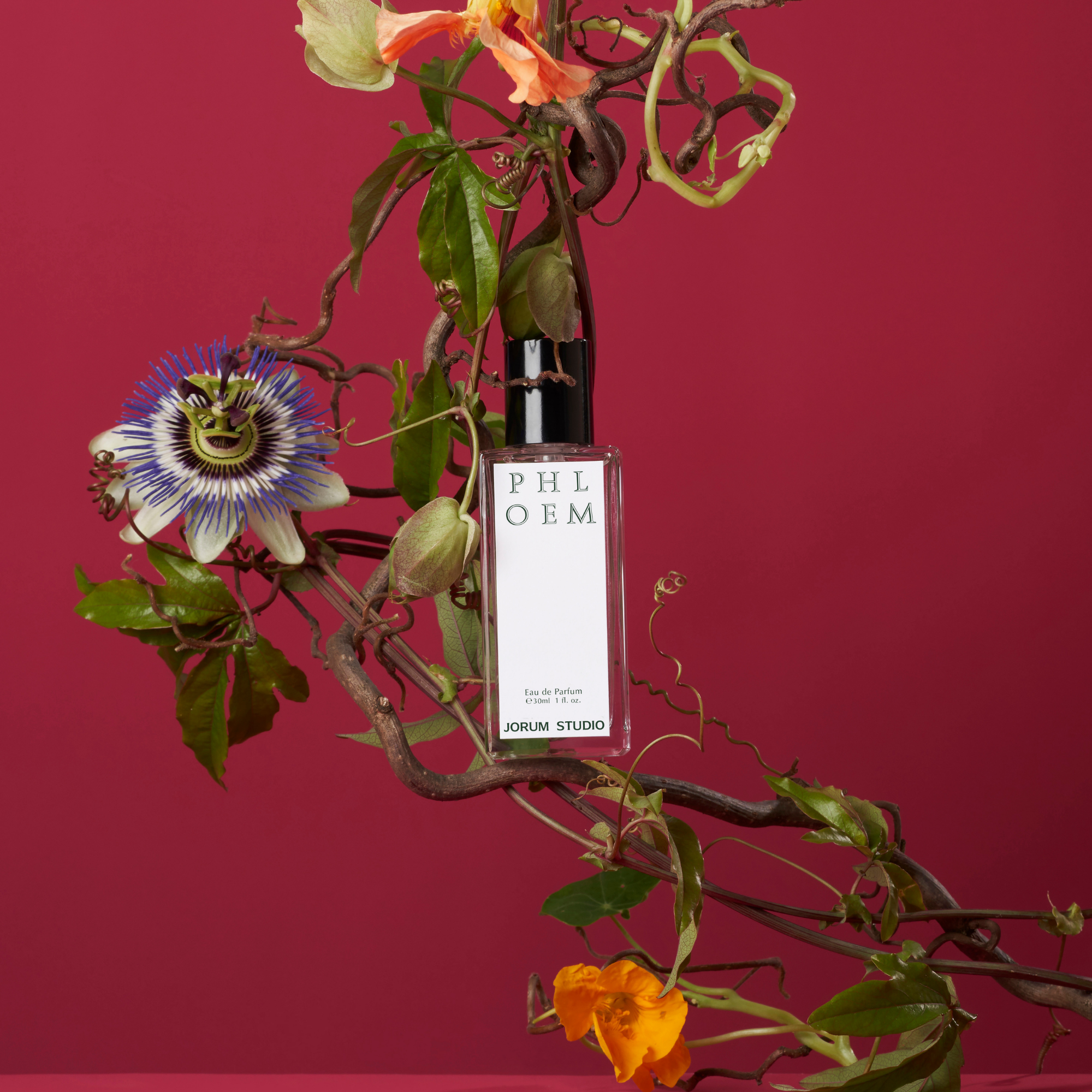 Phloem EDP 50ml - Image 2