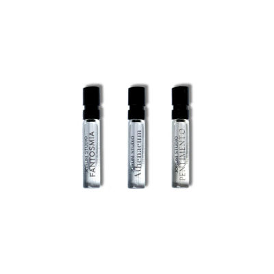 Selective Memory Sample Set