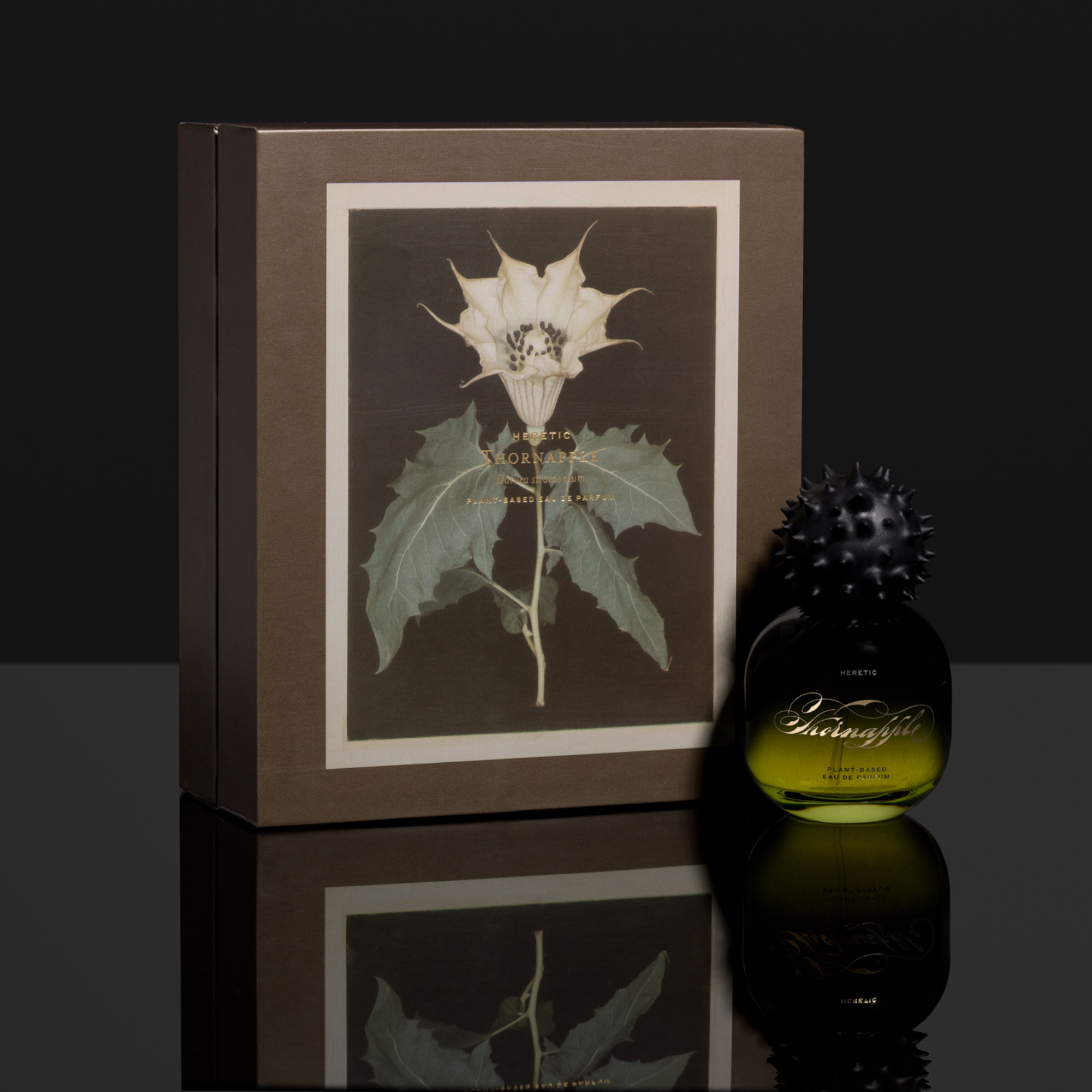 Thornapple EDP 50ml - Image 2