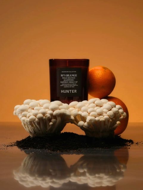 Hunter Candles Wild Orange Candle Hunter Candles Mushroom Range